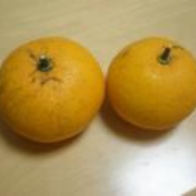 酸っぱい柑橘類を美味しく消費 みかんの蜂蜜漬け レシピ 作り方 By はちわれ413 楽天レシピ 酸っぱい柑橘類を美味しく消費 みかんの蜂蜜漬け レシピ 作り方 By はちわれ413 楽天レシピ